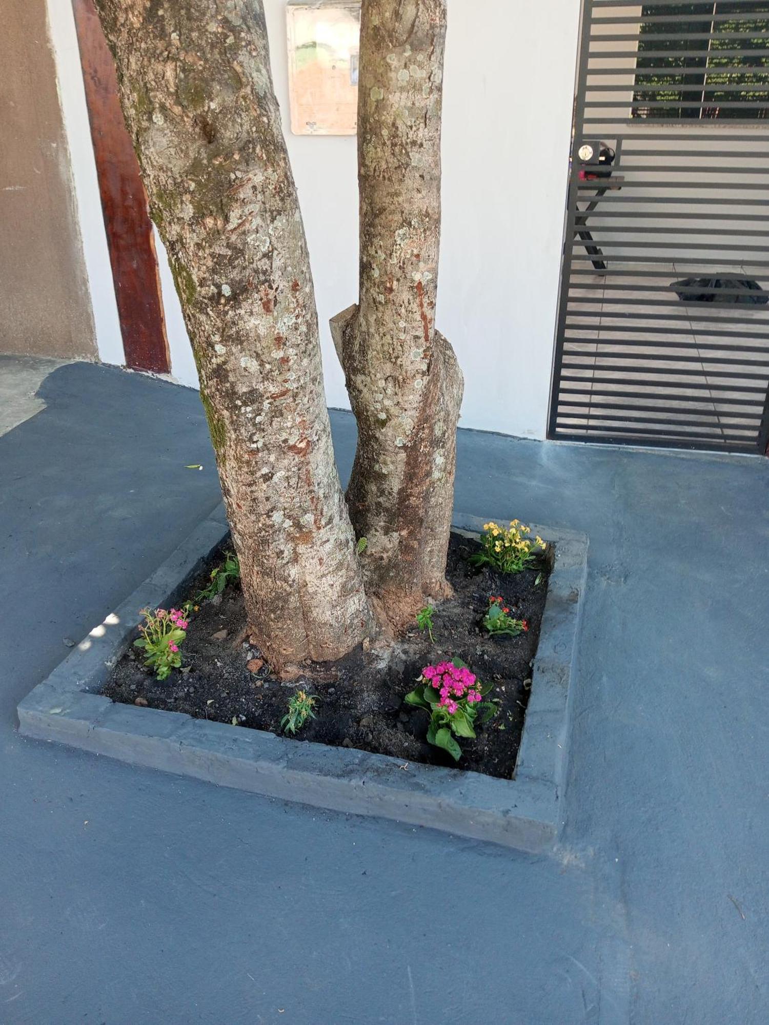 Casa Luna Da Boa Vista Bonito  Eksteriør bilde